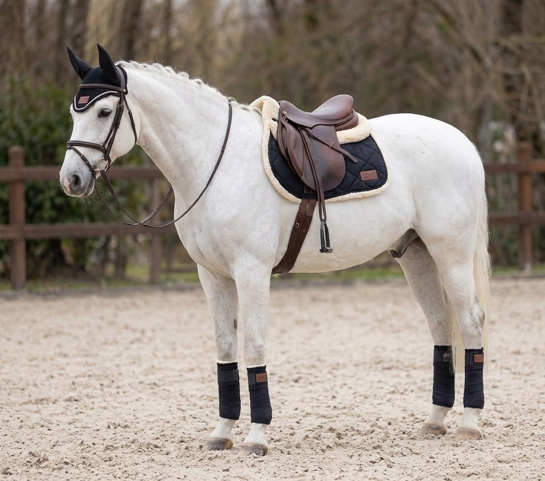 Patara Horse Siyah Eyer Altı Set